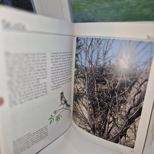 Alla Barns Djur - små och stora djur i vår natur, Stefan Casta, okänt