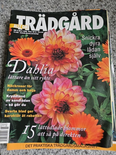 Din trädgård Nr 6 1999