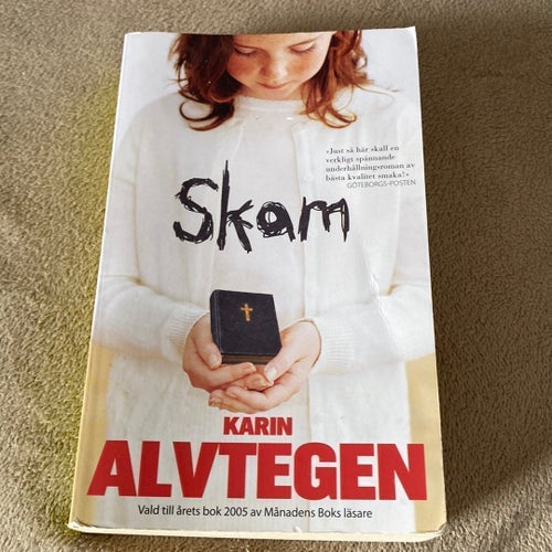 Skam av Karin Alvtegen ** POCKET ** 2006