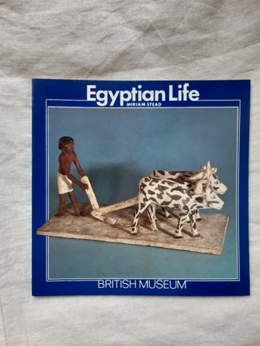 Egyptian Life av Miriam Stead
