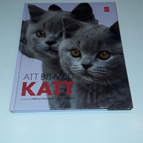 Att bli med katt - Susanne Hellman Holmström