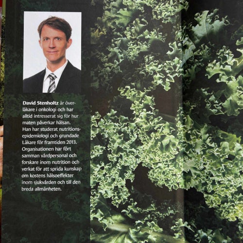 KOSTENS KRAFT David Stenholtz 2023