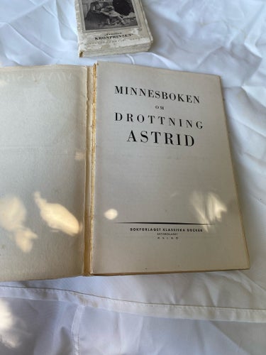 Minnesboken om Drottning Astrid, Drottning Astrid Minnesalbum, Familjen