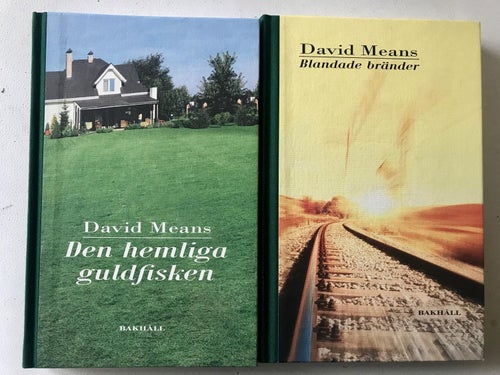 DEN HEMLIGA GULDFISKEN + BLANDADE BRÄNDER David Means