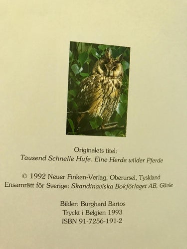 TUSEN SNABBA HOVAR En flock vilda hästar Burghard Bartos 1993