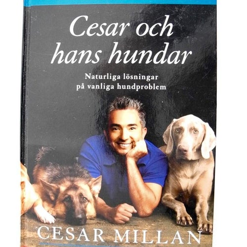 CESAR OCH HANS HUNDAR Cesar Millan 2008