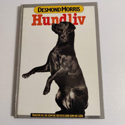 Hundliv - varför de är som de är och gör som de gör