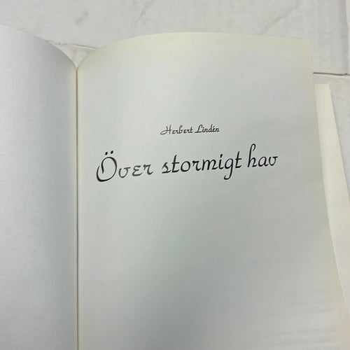 Över stormigt hav av Herbert Lindén (Okänt År)