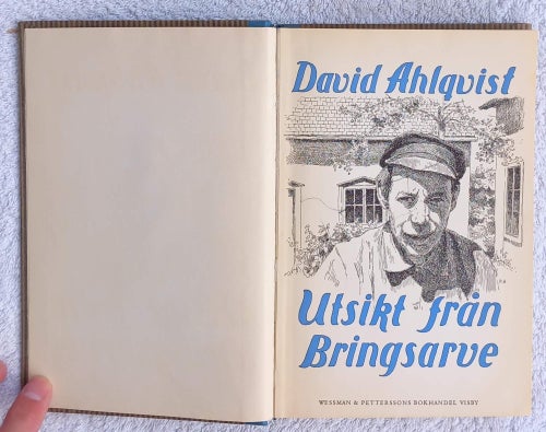 Utsikt från Bringsarve (hembygdsskildring från Gotland)