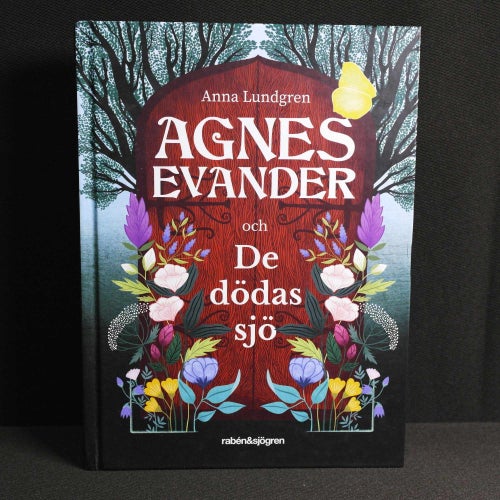 Anna Lundgren - Agnes Evander och De dödas sjö