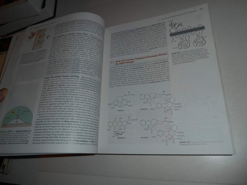 Biochemistry (hft) 2008