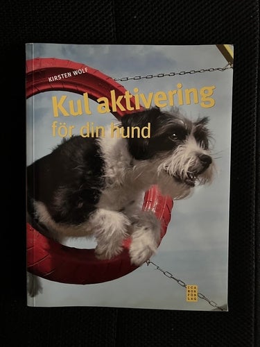 Kul aktivering för din hund. / Kirsten Wolf