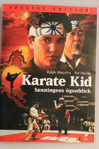 The Karate Kid - Special Edition (DVD). NYSKICK.
