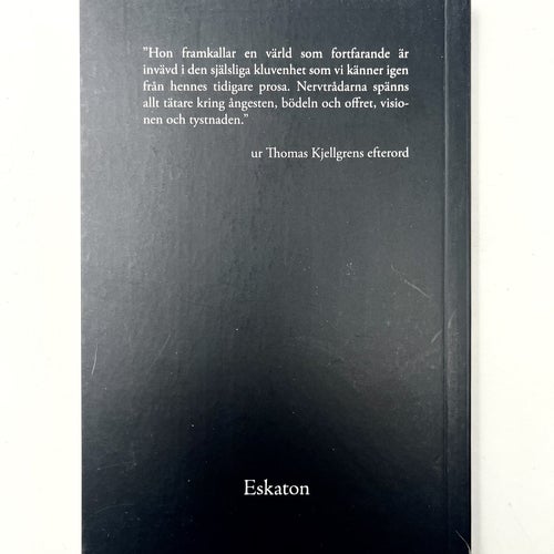 Under jorden sjönk – Mirjam Tuominen