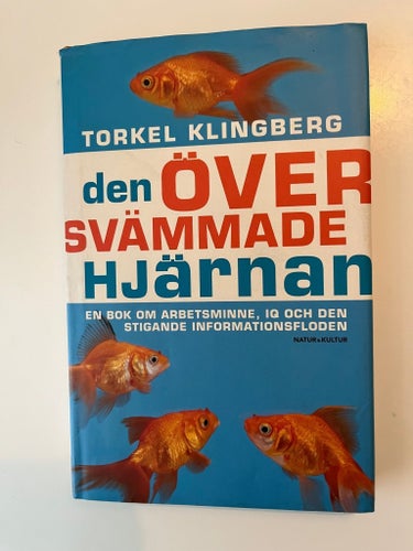 Den översvämmade hjärnan av Torkel Klingberg
