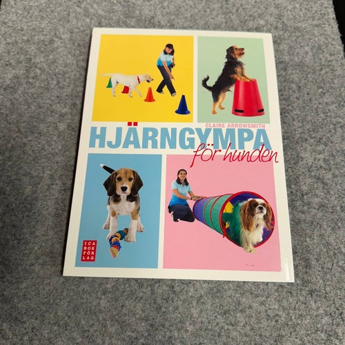 Claire Arrowsmith - Hjärngympa för hunden