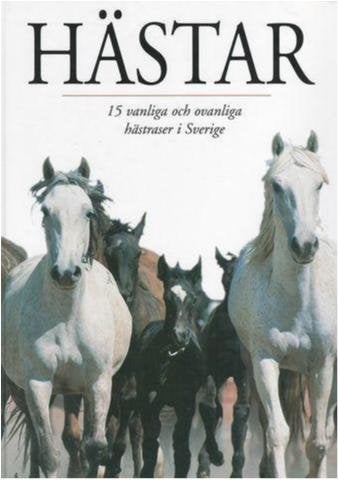 Hästar 15 vanliga och ovanliga hästraser i Sverige