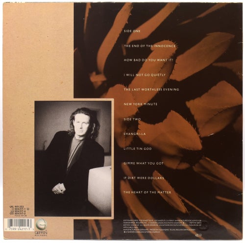 Don Henley - The End of the Innocence - EU 1989 (924 217-1) EX/EX