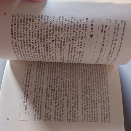 Vid sunda vätskor : handbok i återfallsprevention vid kemiskt beroende av