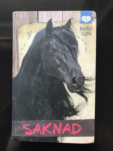 Becky Citra - Saknad