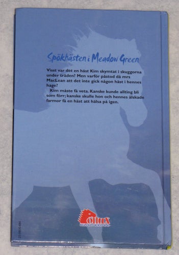 Spökhästen i Meadow Green hästbok Anne Louise MacDonald tonårs barn häst bok