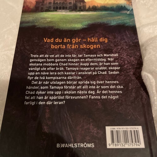 Farlig Mark av Louis Sachar