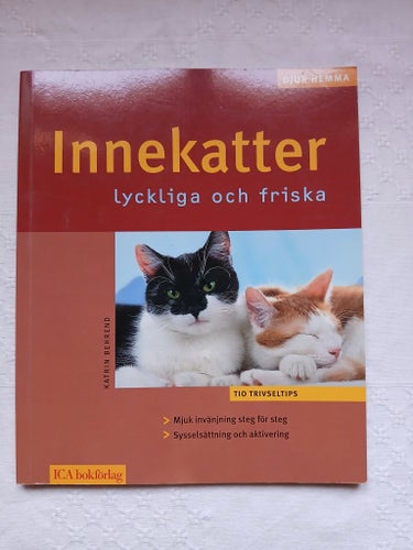 Innekatter - Lyckliga och friska