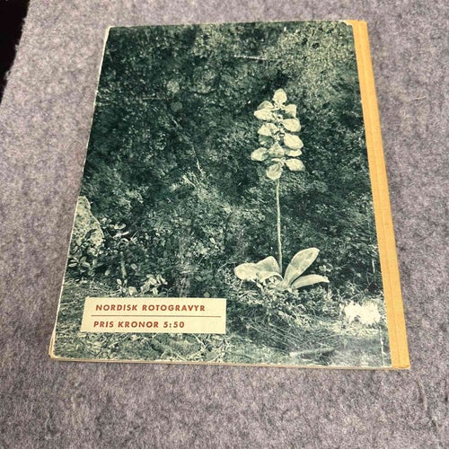 Karin Fryxell - Småtrollen och lyckoblomman