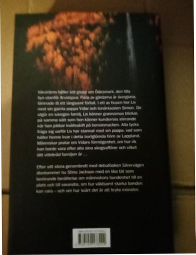 Ödesmark av Stina Jackson, 2020