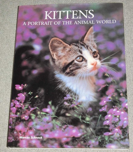 Kittens - A Portrait of the Animal World - English Hardback Book