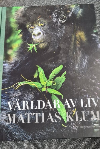 VÄRLDAR AV LIV Mattias Klum