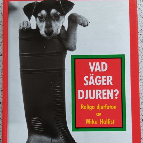 Vad säger djuren? Roliga djur foton av Mike Hollist