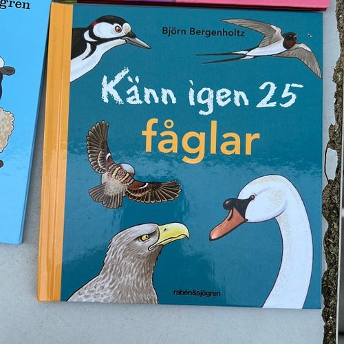 Känn igen 25 fåglar av Björn Bergenholtz