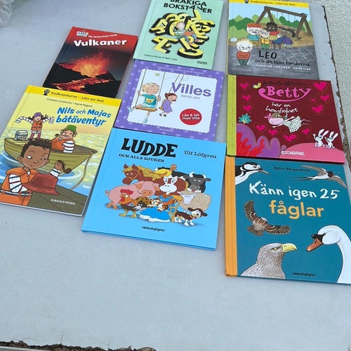 Känn igen 25 fåglar av Björn Bergenholtz