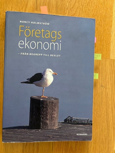 Företagsekonomi - Från begrepp till beslut av Nancy Holmström