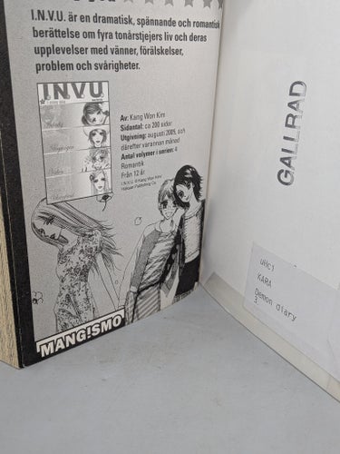 Demon Diary Vol 3 - Manga på Svenska