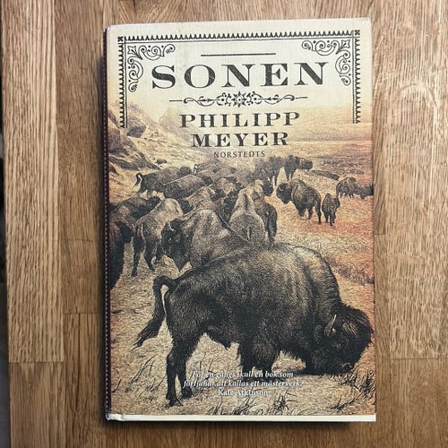 Sonen av Philipp Meyer 2013