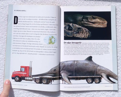 National geographic, 5/2006 – sjöodjur, tornador, mayas väggmålningar