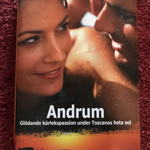 Susan Elizabeth Phillips - Andrum (2004)