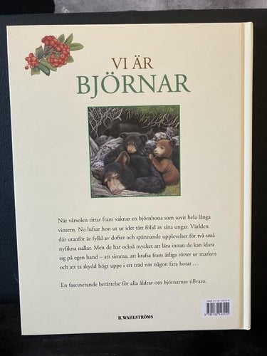 Bok - Vi är Björnar av Molly Grooms & Lucia Guarnotta
