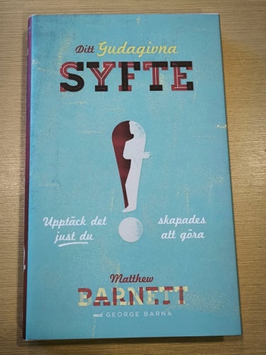 Ditt Gudagivna Syfte av Matthew Barnett