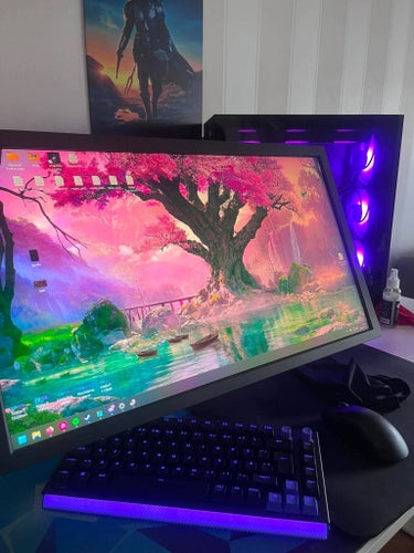 BenQ ZOWIE XL2586X+ 600 Hz Gaming Monitor
