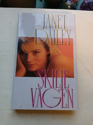 Skiljevägen - Janet Dailey