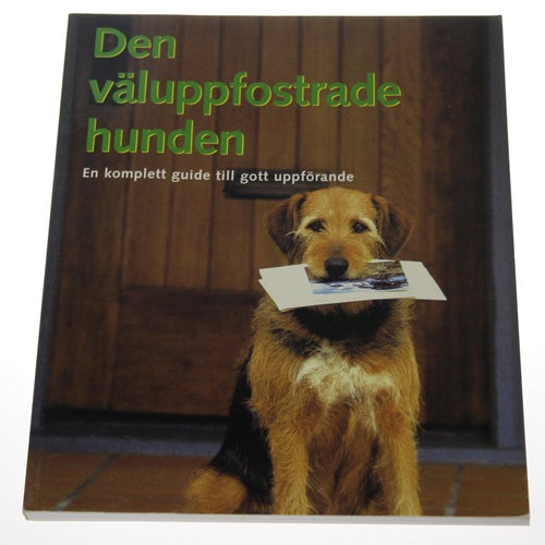 Den väluppfostrade hunden : En komplett guide till gott uppförande