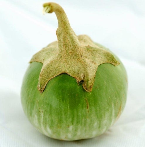 AUBERGINE FRÖ THAI OBLONG EKO - 25 frön