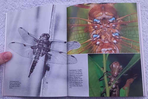 Myller (Svenska Naturskyddsföreningens årsbok 1986)