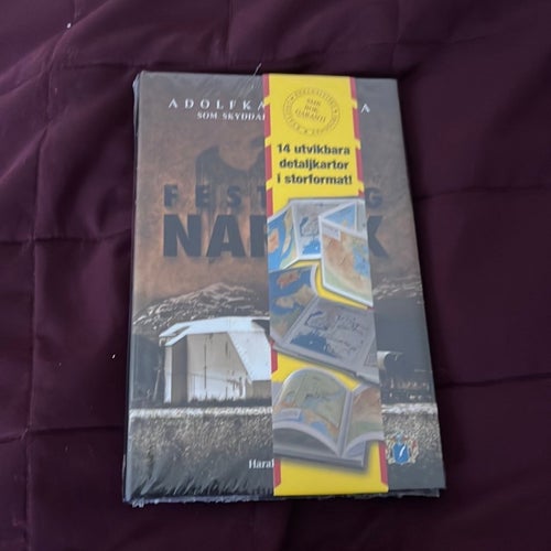Adolfkanonerna som skydd, Festung Narvik