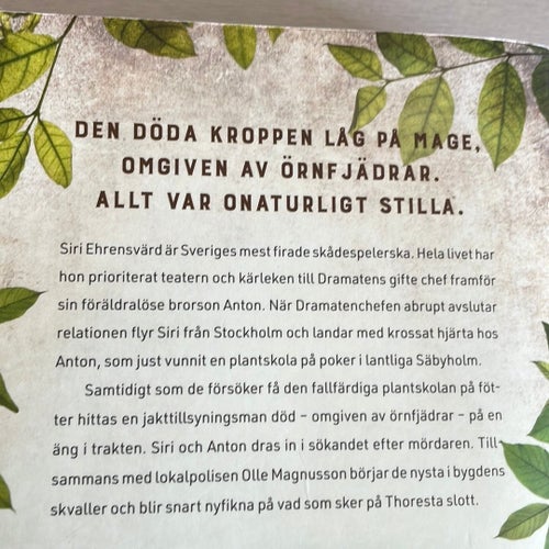 Bara ett litet mord av Carin Hjulström, 2017 Pocketbok