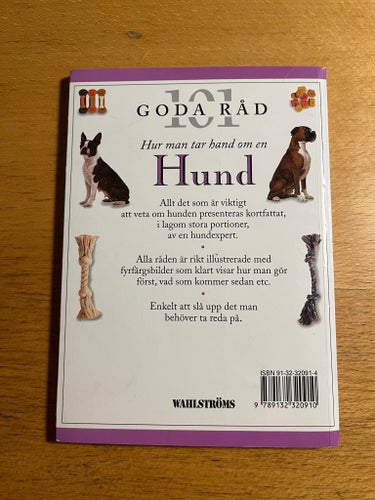 101 GODA RÅD Hur man tar hand om en Hund