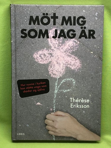 Möt mig som jag är hur vuxna i kyrkan kan stötta unga som skadar sig själva /